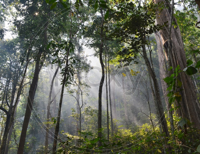 Taman Nasional Khao Yai