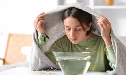 Tanaman Daun Sambiloto Di Kenal Miliki Banyak Manfaat Baik Loh!