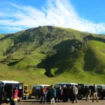 Bukit Teletubbies Bromo: Savana Hijau Di Tengah Lautan Pasir