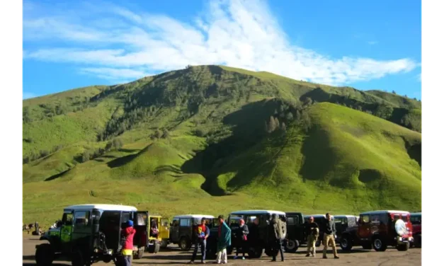 Bukit Teletubbies Bromo: Savana Hijau Di Tengah Lautan Pasir
