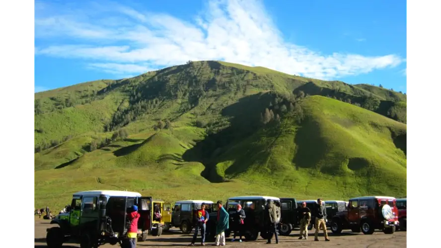 Bukit Teletubbies Bromo: Savana Hijau Di Tengah Lautan Pasir