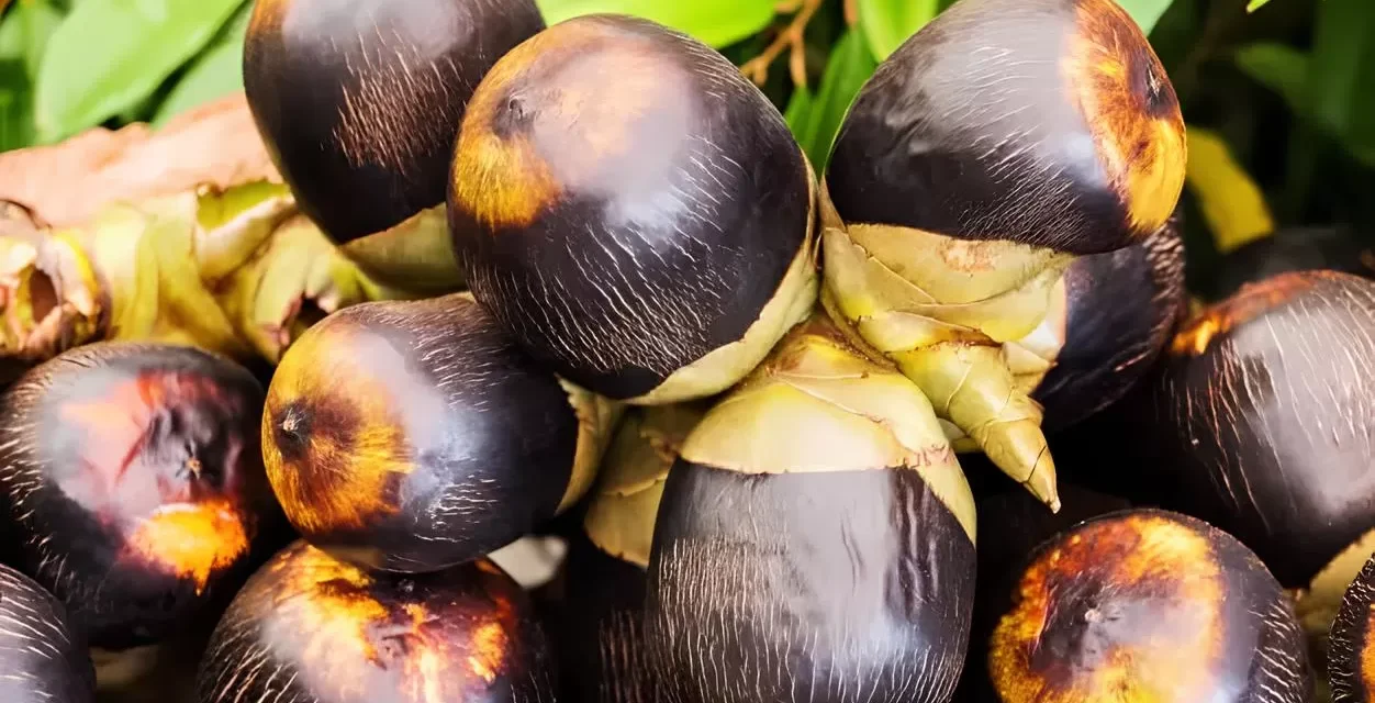 Buah Siwalan Kini Efektif Menyegarkan Dan Menghidrasi Tubuh