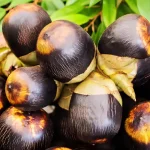 Buah Siwalan Kini Efektif Menyegarkan Dan Menghidrasi Tubuh
