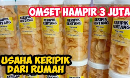 Usaha Aneka Keripik Viral Memiliki Keuntungan Yang Menjanjikan