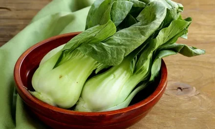 Tumbuhan Hijau Pakcoy Sayuran Yang Enak Di Masak
