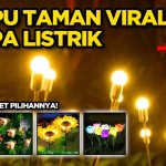 Peran Penting Lampu Taman Untuk Estetika Dan Keamanan