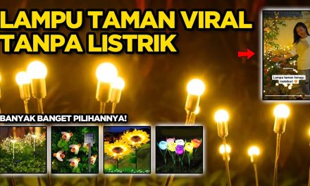 Peran Penting Lampu Taman Untuk Estetika Dan Keamanan