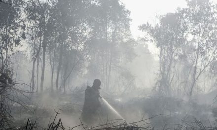 BNPB Ungkap Sumber Air Menyusut, Pemadaman Makin Sulit