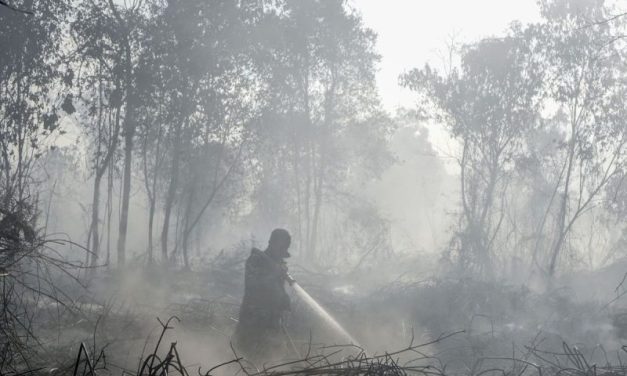 BNPB Ungkap Sumber Air Menyusut, Pemadaman Makin Sulit