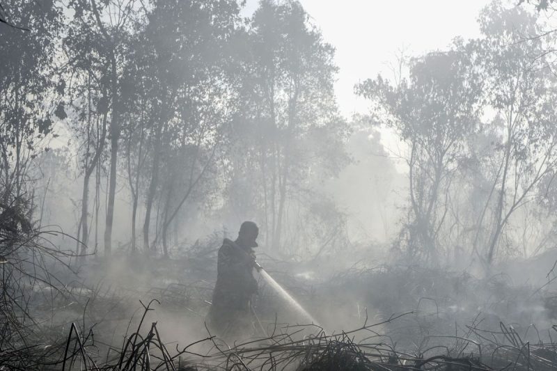 BNPB Ungkap Sumber Air Menyusut, Pemadaman Makin Sulit